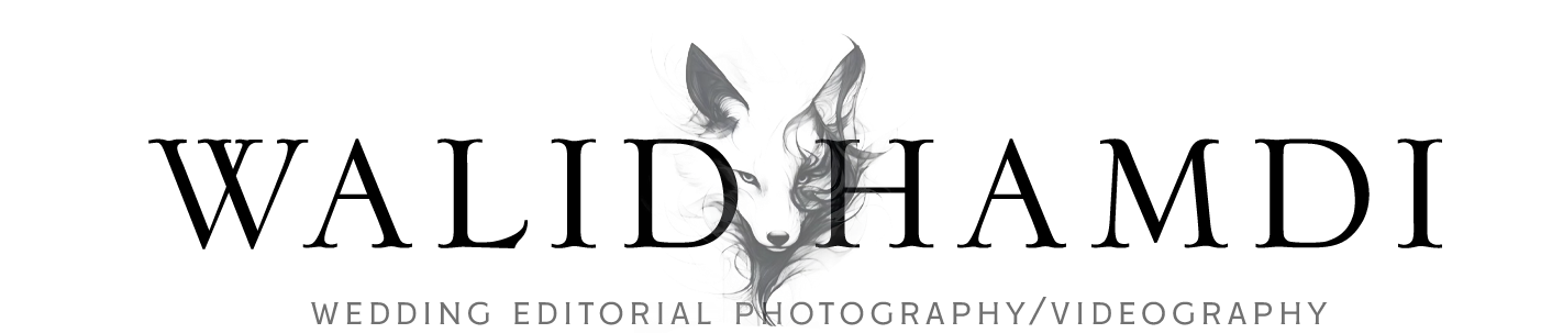 Walid Hamdi